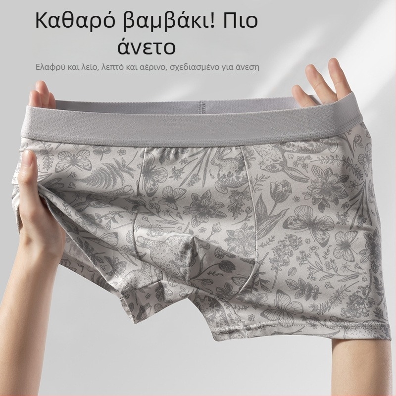 Νέο ανδρικό εσώρουχο κινεζικού στυλ με αντιβακτηριακό πάνελ από Mulberry Silk, αναπνέει, καθαρό βαμβάκι, μεσαίο ύψος, μποξέρ briefs