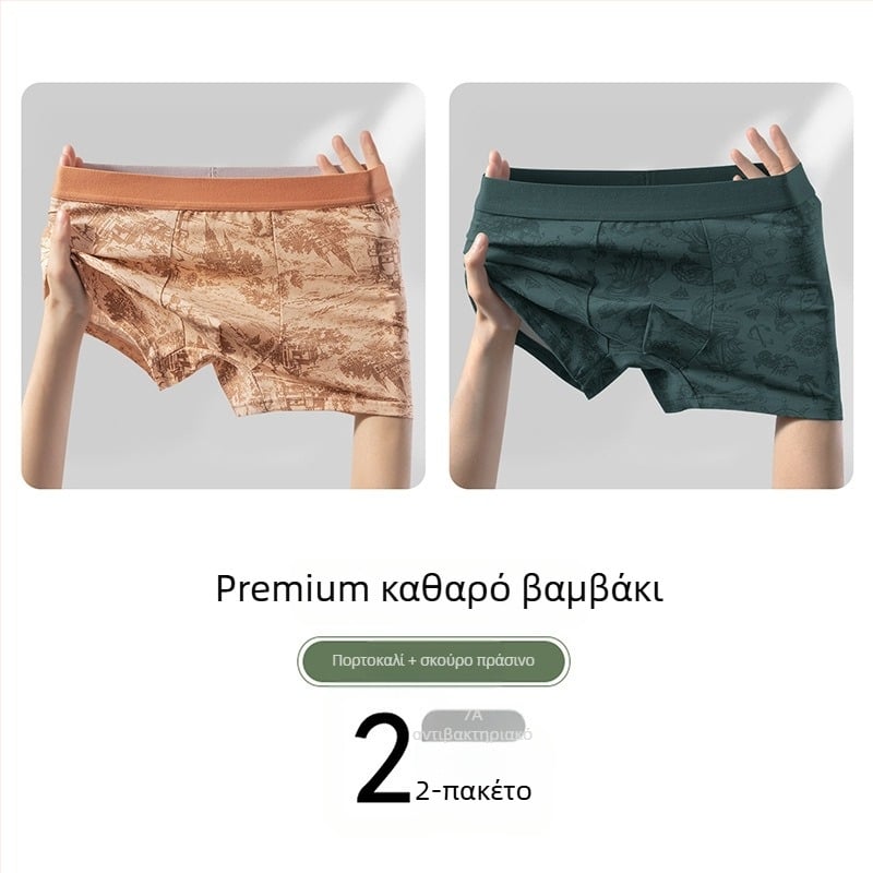 Νέο ανδρικό εσώρουχο κινεζικού στυλ με αντιβακτηριακό πάνελ από Mulberry Silk, αναπνέει, καθαρό βαμβάκι, μεσαίο ύψος, μποξέρ briefs
