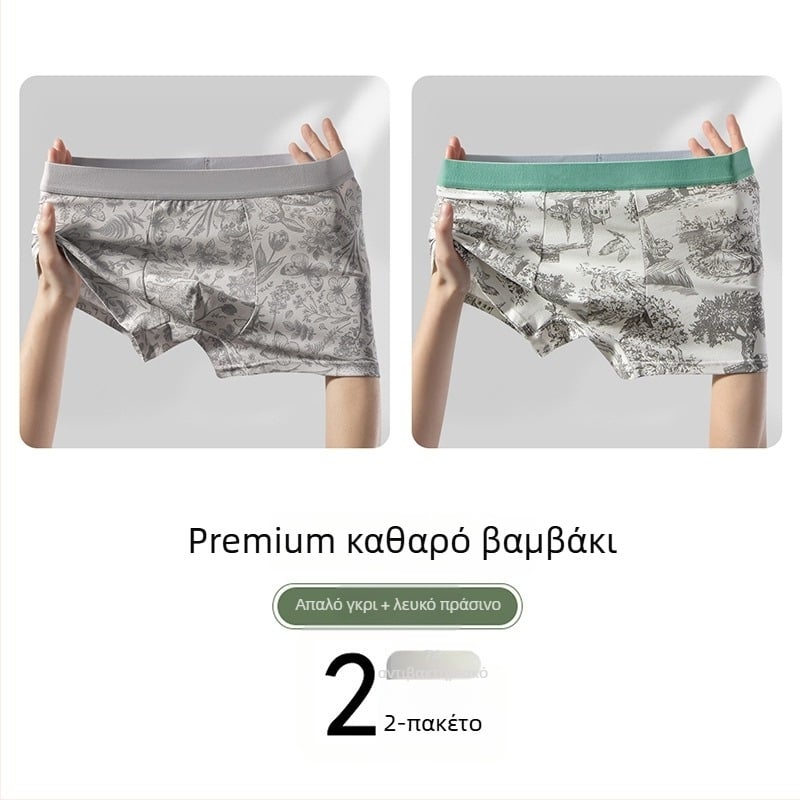 Νέο ανδρικό εσώρουχο κινεζικού στυλ με αντιβακτηριακό πάνελ από Mulberry Silk, αναπνέει, καθαρό βαμβάκι, μεσαίο ύψος, μποξέρ briefs