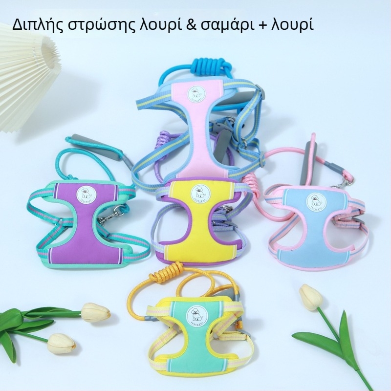 Σετ θωρακικό και λουρί σκύλου με εκτυπωμένο patch για μικρά έως μεσαία σκυλιά