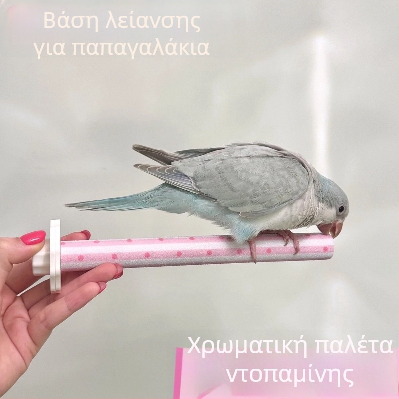 Δίσκος γρατσουνίσματος για παπαγάλους με χρωματιστό σχέδιο για τρίψιμο ράμφους και νυχιών, βάση για πουλιά, μικρό μέγεθος