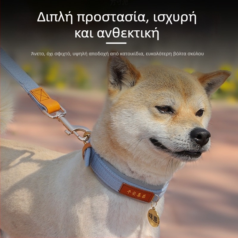 Κολάρο σκύλου για μεσαίες και μεγάλες φυλές, με ετικέτα ταυτότητας και λουρί, σε στυλ Κοργκί