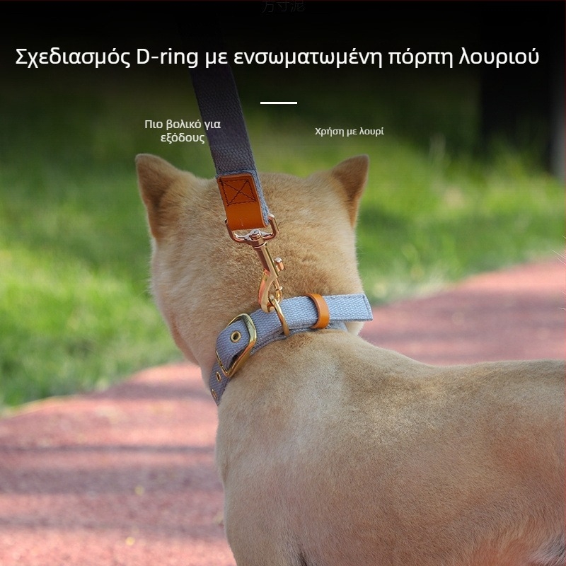 Κολάρο σκύλου για μεσαίες και μεγάλες φυλές, με ετικέτα ταυτότητας και λουρί, σε στυλ Κοργκί