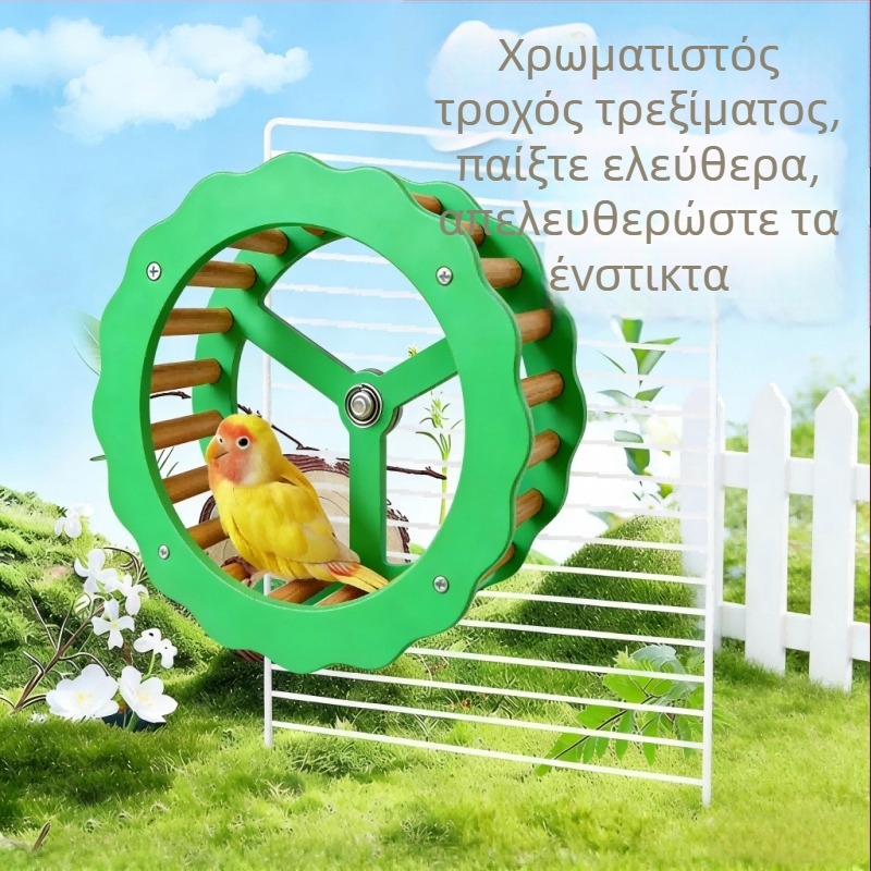 Περιστρεφόμενος τροχός άσκησης για μικρά κατοικίδια – παιχνίδι για παπαγάλους και χάμστερ, ανακούφιση άγχους