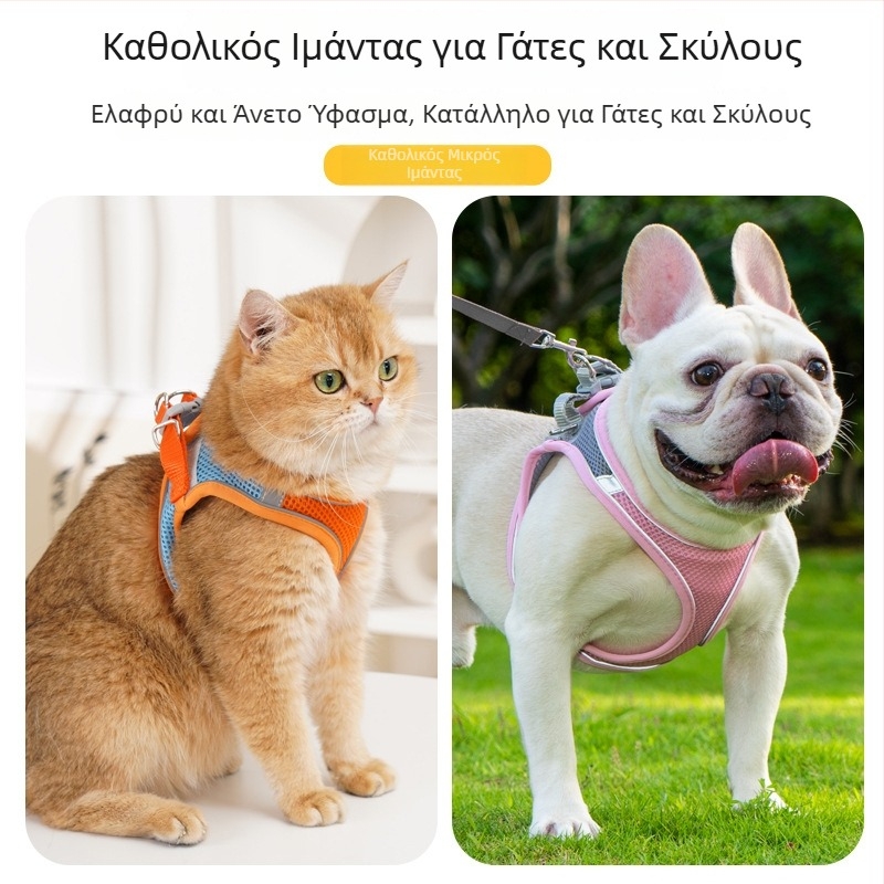 Κολάρο-θήρακας για μικρά σκυλιά και γάτες, ανακλαστικό, διαπνέον νάιλον, λουρί με επαναφορά