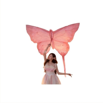 Μπλε χαρταετός με σχέδιο πεταλούδας για φωτογράφηση, κατάλληλος για παιδιά και ενήλικες, φθινοπωρινές λήψεις.