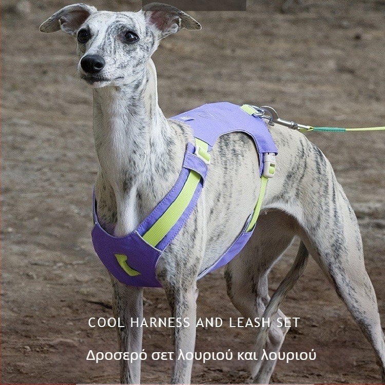 ZOOLAND Θωρακικός ιμάντας για σκύλους και λουρί για μικρούς έως μεγάλους σκύλους