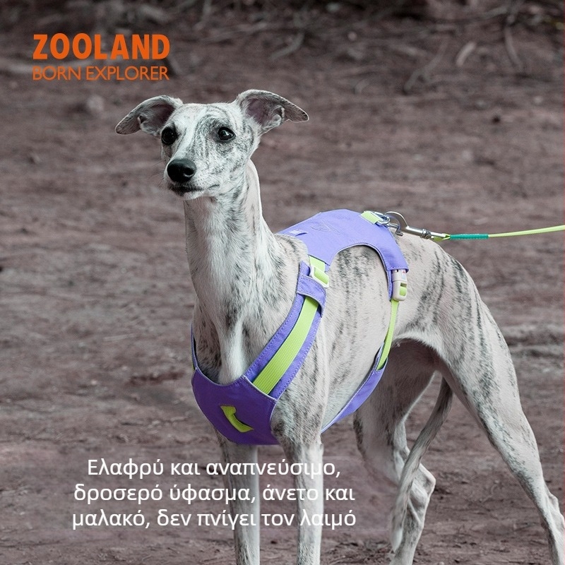 ZOOLAND Θωρακικός ιμάντας για σκύλους και λουρί για μικρούς έως μεγάλους σκύλους