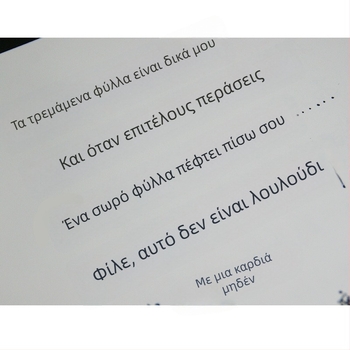 Siyuan 1-Character Copybook για ενήλικες: εξάσκηση γραφής σε κανονικό, ημι-κανονικό και κυρικό στυλ με σκληρή πένα