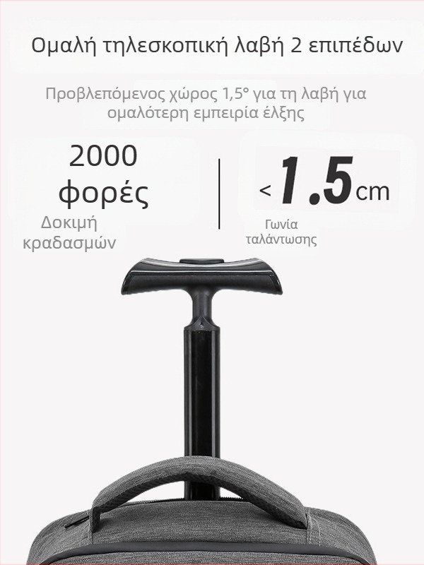 Ανδρικό σακίδιο με ρόδες για φορητό υπολογιστή, προσαρμοσμένο λογότυπο, εταιρικό δώρο, ευρύχωρο επαγγελματικό σακίδιο ταξιδιού