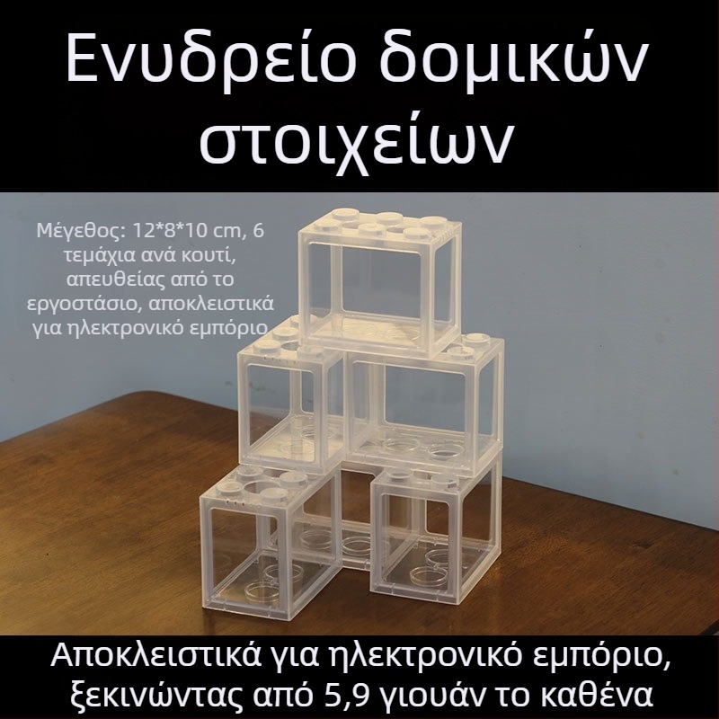 Ακρυλικό ενυδρείο για Μπέτα, μίνι τοπίο σε φιάλη