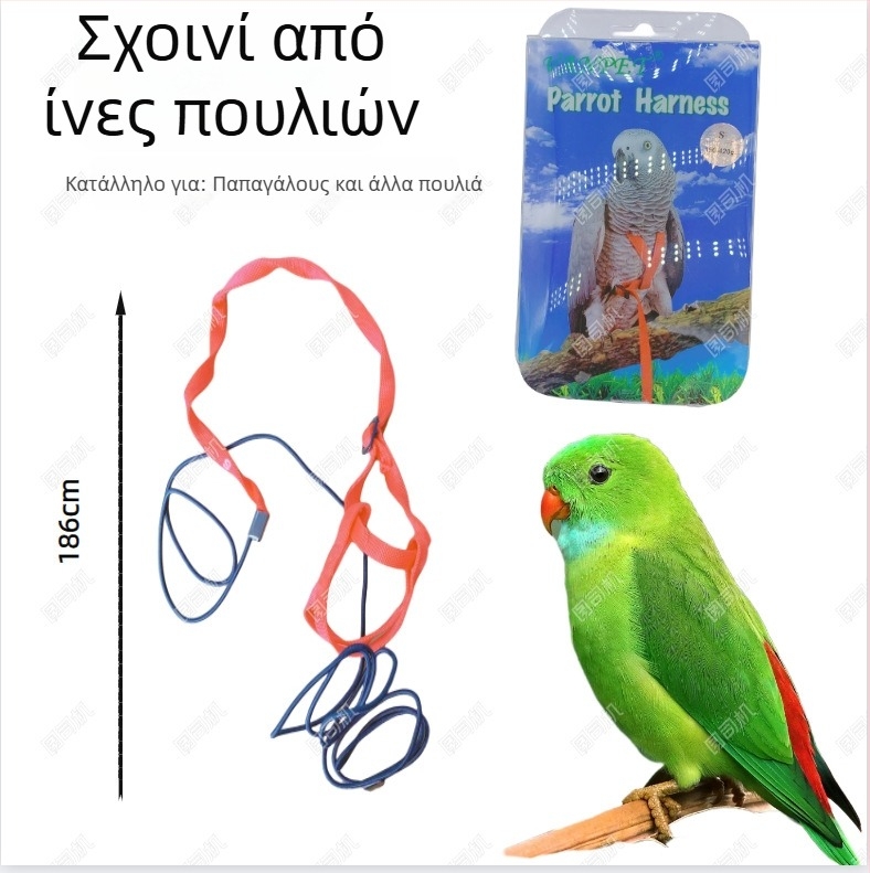 Παιχνίδια για χάμστερ και παπαγάλο: δαγκώσιμα παιχνίδια, φωλιά για μικρά κατοικίδια και παιχνίδια από λουφα