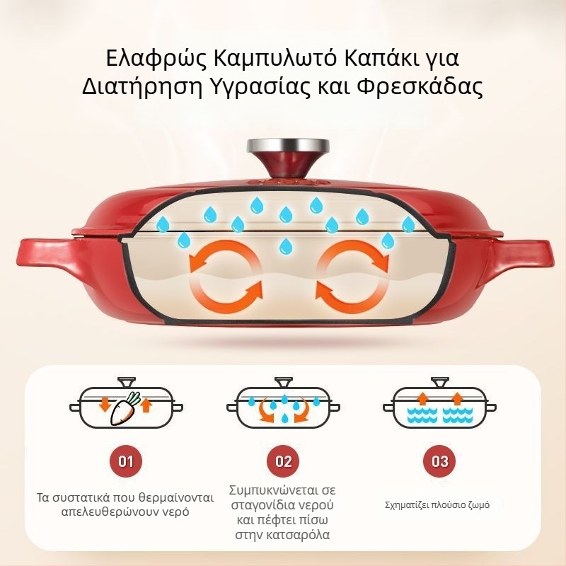 Κατσαρόλα από χυτοσίδηρο με εμαγιέ για αργό σιγοβράσιμο, στιφάδο και ψήσιμο, επίπεδη βάση, αντικολλητική, συμβατή με επαγωγή και αέριο