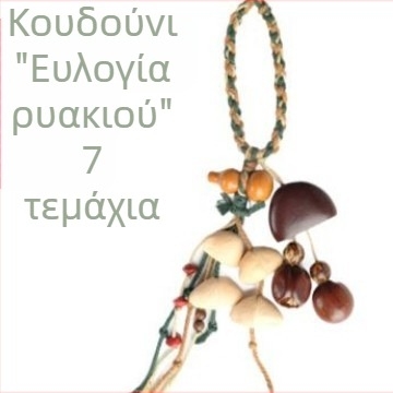 Χειροποίητο κρεμαστό κουδουνάκι ανέμου με φυσικό φλοιό φρούτου