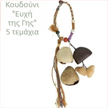 Χειροποίητο κρεμαστό κουδουνάκι ανέμου με φυσικό φλοιό φρούτου