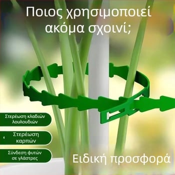 50 τεμ. κηπευτικά νήματα με πλαστικό περίβλημα για δέσιμο αμπελών και δενδρυλλίων, στυλ ψαροκόκαλο
