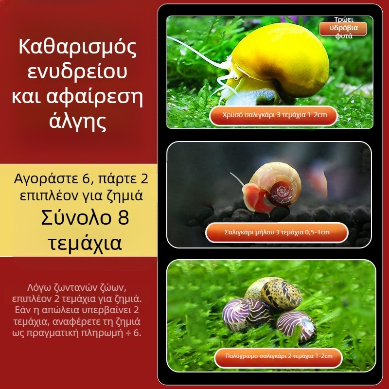 Σαλιγκάρι μήλου γλυκού νερού για ενυδρείο — εργαλείο αφαίρεσης φυκών και καθαρισμού δεξαμενής, μικρά и μεγάλα σαλιγκάρια