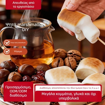 Σετ DIY για μαρσμουλάκια ψημένα με κάρβουνο σε αυτοθερμαινόμενη συσκευή, για εξορμήσεις την άνοιξη και εξωτερικό μπάρμπεκιου