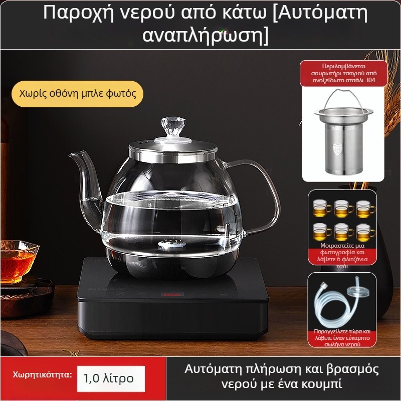 Όλα σε ένα: ηλεκτρικός παρασκευαστής τσαγιού με έλεγχο θερμοκρασίας και γυάλινο βραστήρα νερού (1 L)