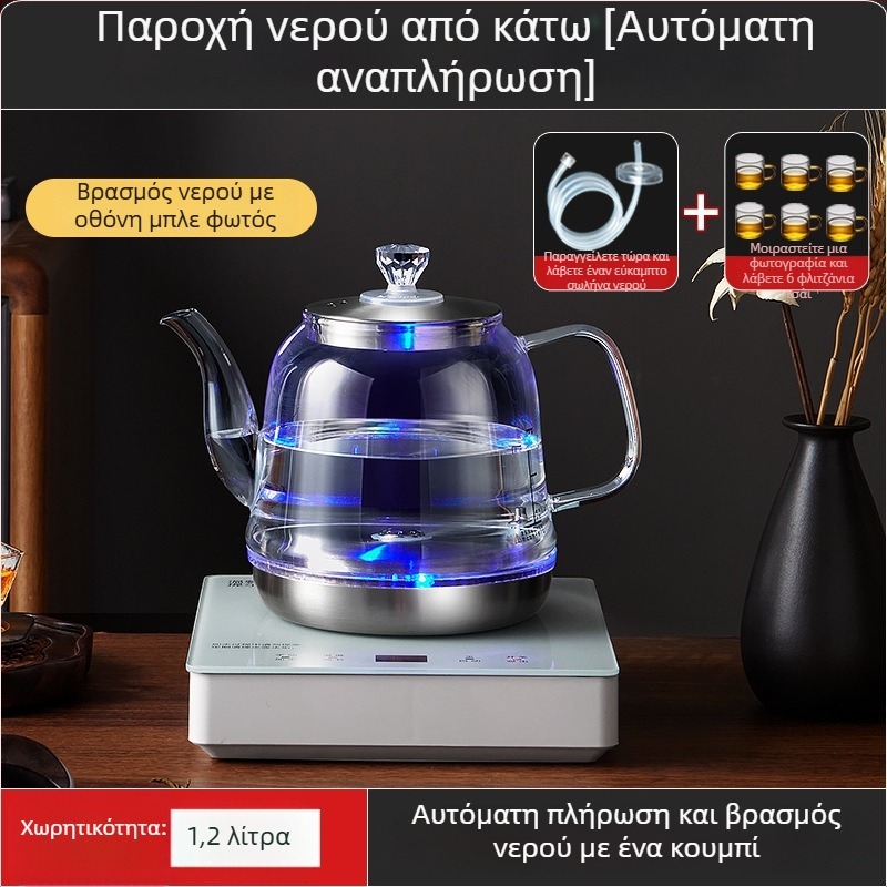Όλα σε ένα: ηλεκτρικός παρασκευαστής τσαγιού με έλεγχο θερμοκρασίας και γυάλινο βραστήρα νερού (1 L)
