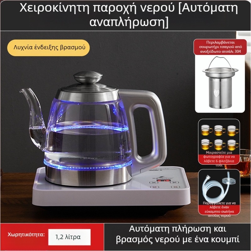 Όλα σε ένα: ηλεκτρικός παρασκευαστής τσαγιού με έλεγχο θερμοκρασίας και γυάλινο βραστήρα νερού (1 L)