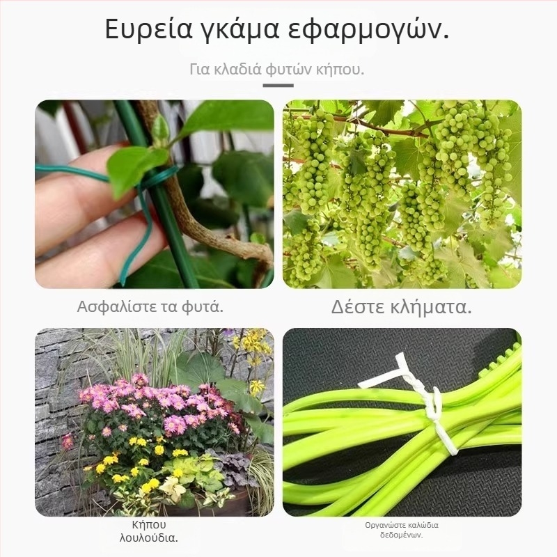 Πράσινες πλαστικές καλυμμένες ζώνες κήπου για στήριξη και διαμόρφωση φυτών, ευέλικτες ζώνες πρόσδεσης για αναρριχητικά φυτά