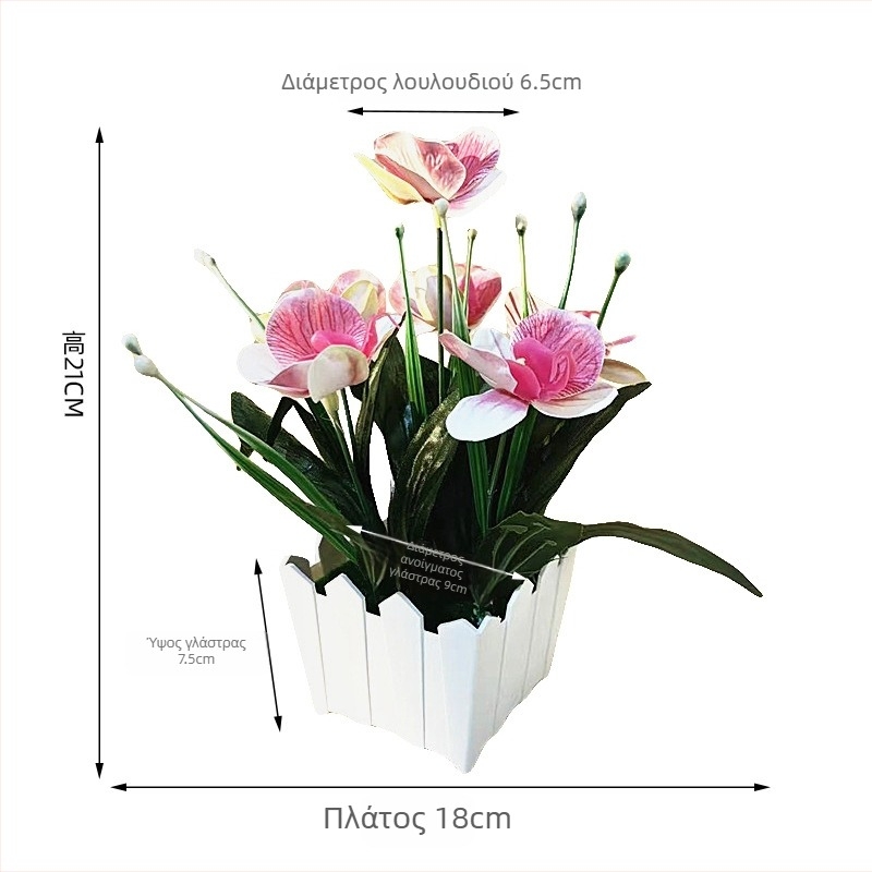 Έξι ορχιδέες Phalaenopsis σε γλάστρες με φράχτη για εξωτερική προβολή, τεχνητά μπονσάι για παράθυρα και αυλές