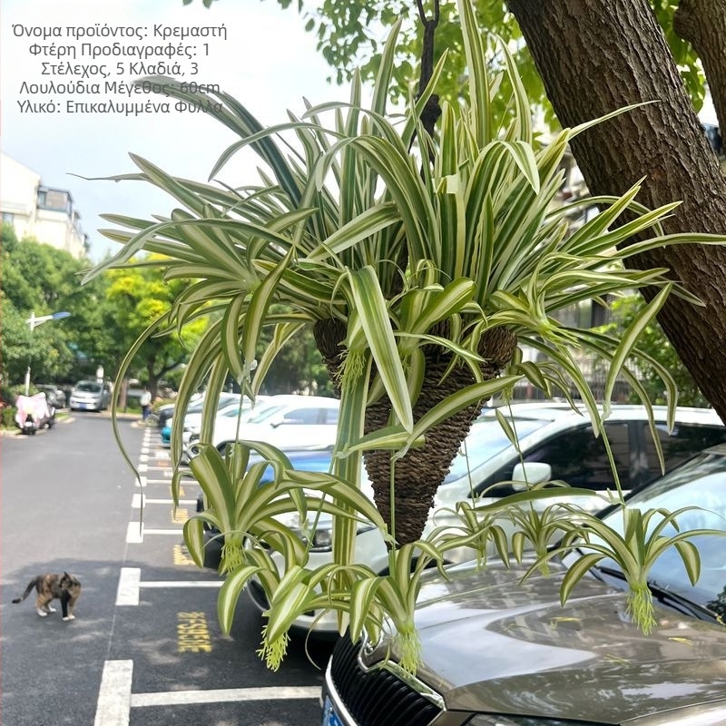 Κρεμαστό τεχνητό φυτό — περσική γρασίδα με γαλάζια και λευκή ρίγα, διακοσμητικό φυτό