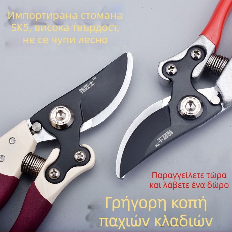 Ψαλίδια κλαδέματος κλώνων φρούτων, ψαλίδια για παχιούς κλάδους, κλαδευτήρια κήπου για άνθη και πρασινάδα