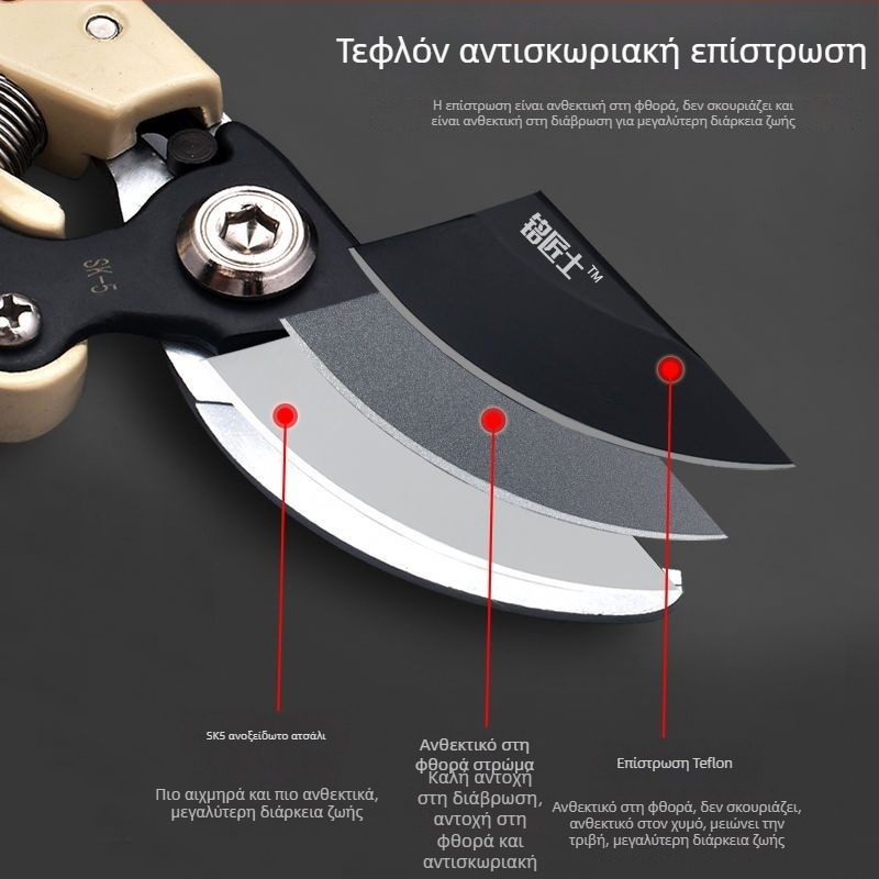 Ψαλίδια κλαδέματος κλώνων φρούτων, ψαλίδια για παχιούς κλάδους, κλαδευτήρια κήπου για άνθη και πρασινάδα