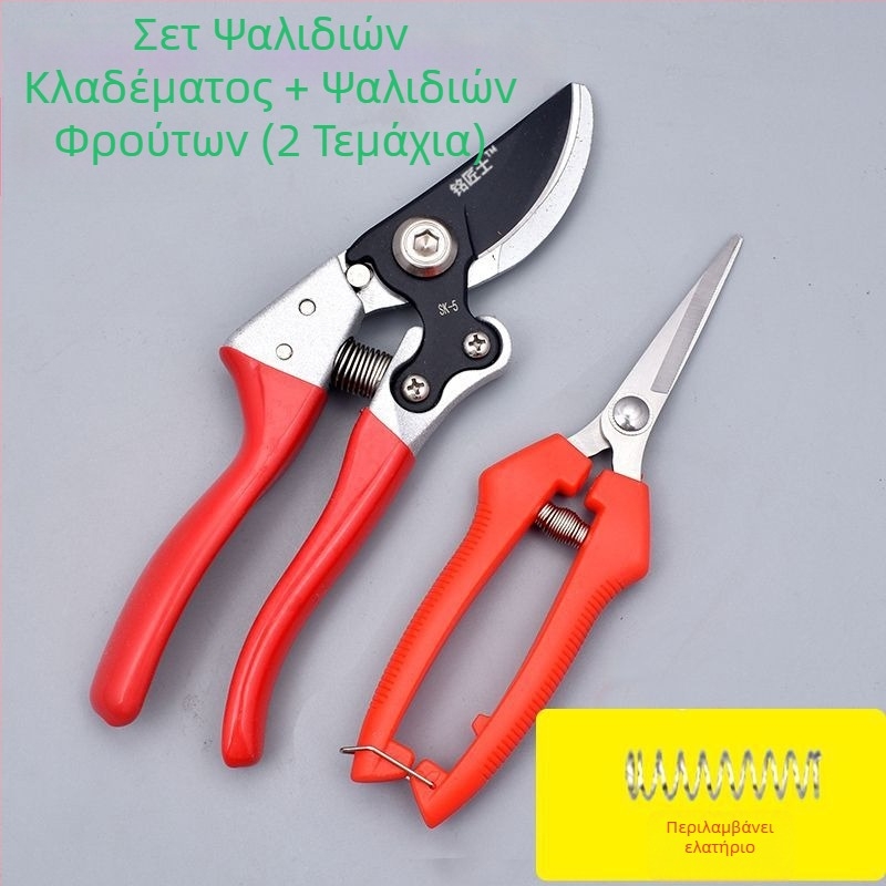 Ψαλίδια κλαδέματος κλώνων φρούτων, ψαλίδια για παχιούς κλάδους, κλαδευτήρια κήπου για άνθη και πρασινάδα