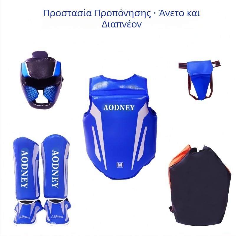 Σετ προστατευτικού εξοπλισμού για σάντα και προπονήσεις πάλης: προστατευτικά χεριών και αγκώνων, παχύτερη προστασία κεφαλής, προστατευτικά ποδιών και θώρακα, φορητά προστατευτικά θώρακα για προπονήσεις