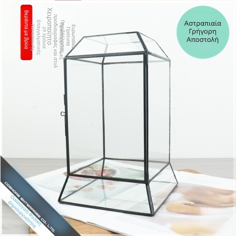 Μικροτοπία βρύων σε γυάλινο θόλο: ζωντανά πράσινα φυτά, DIY διακόσμηση τροπικού δάσους, μικρές διακοσμητικές γλάστρες
