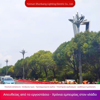 Magnolia λάμπα δρόμου — 10 μ φωτισμός τοπίου, Magnolia δρόμικη λάμπα 8 μ, 12 μ ψηλός στύλος για δημοτική πλατεία