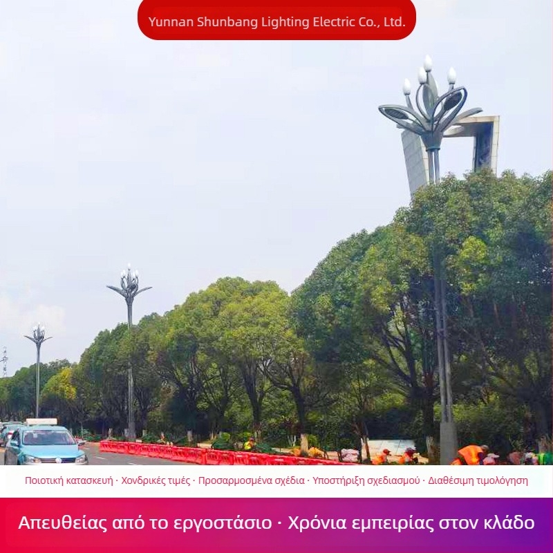 Magnolia λάμπα δρόμου — 10 μ φωτισμός τοπίου, Magnolia δρόμικη λάμπα 8 μ, 12 μ ψηλός στύλος για δημοτική πλατεία