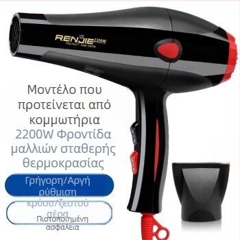 Renjie 835 Επαγγελματικό σεσουάρ μαλλιών για κομμωτήριο, 2200W, ζεστός και κρύος αέρας, γρήγορο στέγνωμα, 3 ταχύτητες, προστασία από υπερθέρμανση