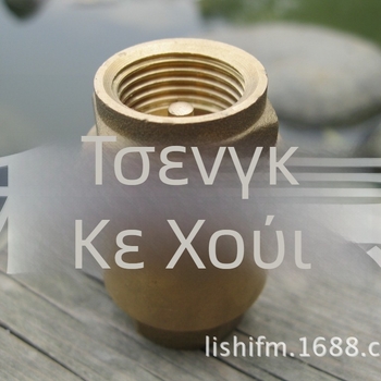 Ορειχάλκινη κατακόρυφη βαλβίδα ελέγχου με ελατήριο, τύπος εμβόλου, μονόδρομη για ύδρευση, τοποθετείται πριν τον μετρητή νερού