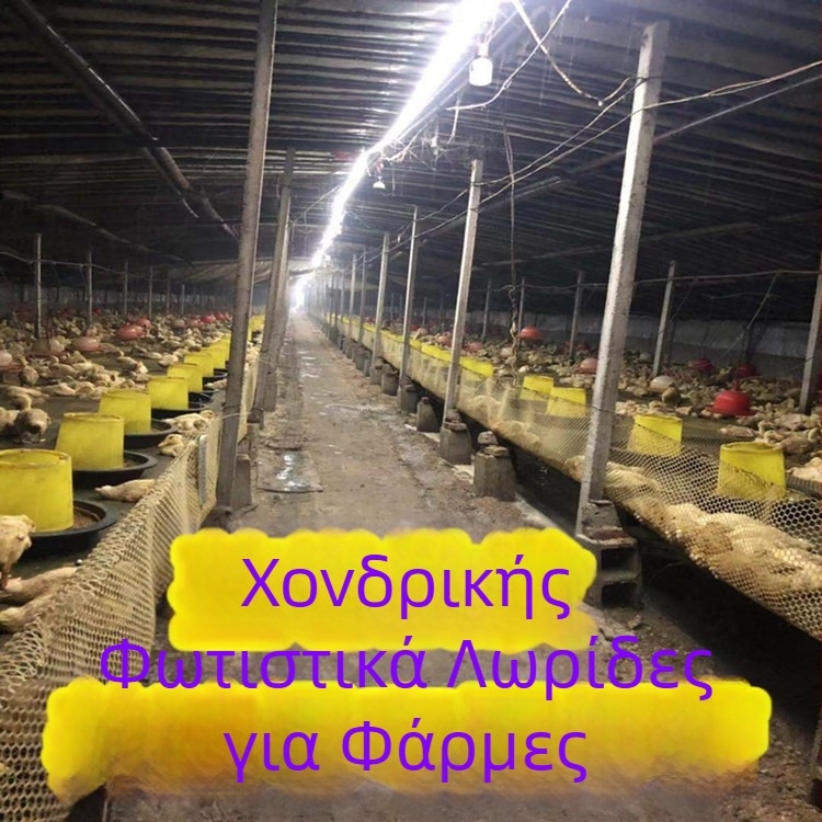 LED λωρίδα, χαμηλής τάσης 24–36 V, εξωτερικός φωτισμός για σήραγγες, γκαράζ, μεταλλεία και υπόγεια, μήκος 100 μ
