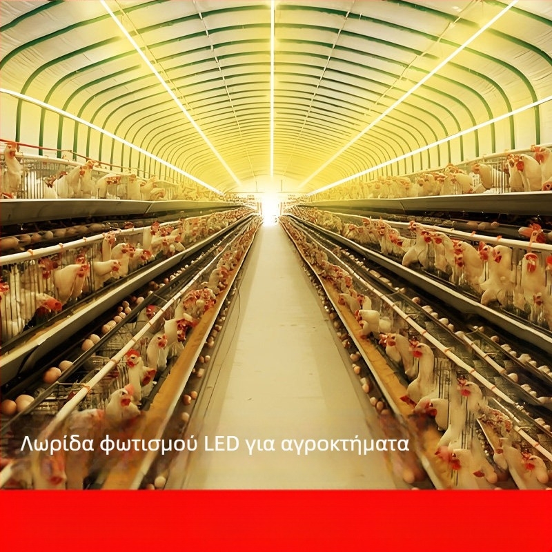 220V αυτοκόλλητη γραμμική LED ταινία, εξωτερική αδιάβροχη σιλικόνη, υψηλή φωτεινότητα, μονόχρωμη, οροφής