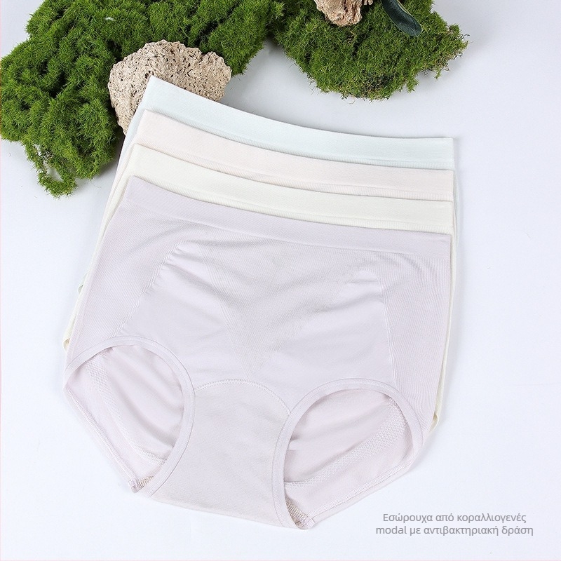 Γυναικείο εσώρουχο με μέση γραμμή, αντιβακτηριακή καβάλο, Modal ύφασμα, διαπνοή και άνεση, χωρίς ραφές, εφαρμοστό στους γοφούς
