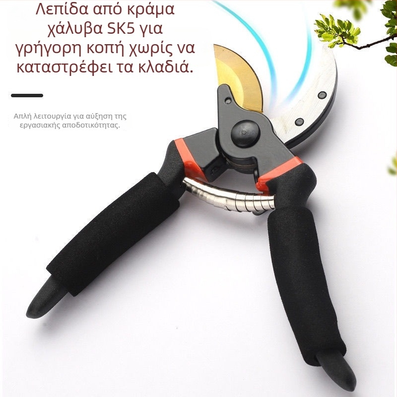 Γερμανικά ακριβείας κλαδευτήρια για κλάδεμα κλαδιών, κήπο, φρούτα, δέντρα και λουλούδια, SK5 ατσάλι