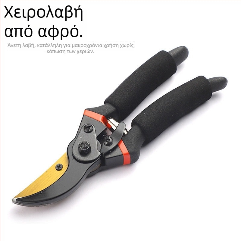 Γερμανικά ακριβείας κλαδευτήρια για κλάδεμα κλαδιών, κήπο, φρούτα, δέντρα και λουλούδια, SK5 ατσάλι