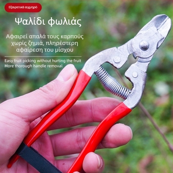 Ψαλίδια φρούτων με σχήμα φωλιάς για εσπεριδοειδή, ψαλίδια συγκομιδής ντοματών, ψαλίδια για πορτοκάλια Navell, ψαλίδια κλαδέματος δέντρων, ψαλίδια φρούτων δέντρων, ψαλίδια συγκομιδής φρούτων, λεπτές ψαλίδες φρούτων