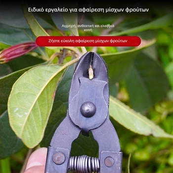 Ψαλίδια φρούτων με σχήμα φωλιάς για εσπεριδοειδή, ψαλίδια συγκομιδής ντοματών, ψαλίδια για πορτοκάλια Navell, ψαλίδια κλαδέματος δέντρων, ψαλίδια φρούτων δέντρων, ψαλίδια συγκομιδής φρούτων, λεπτές ψαλίδες φρούτων