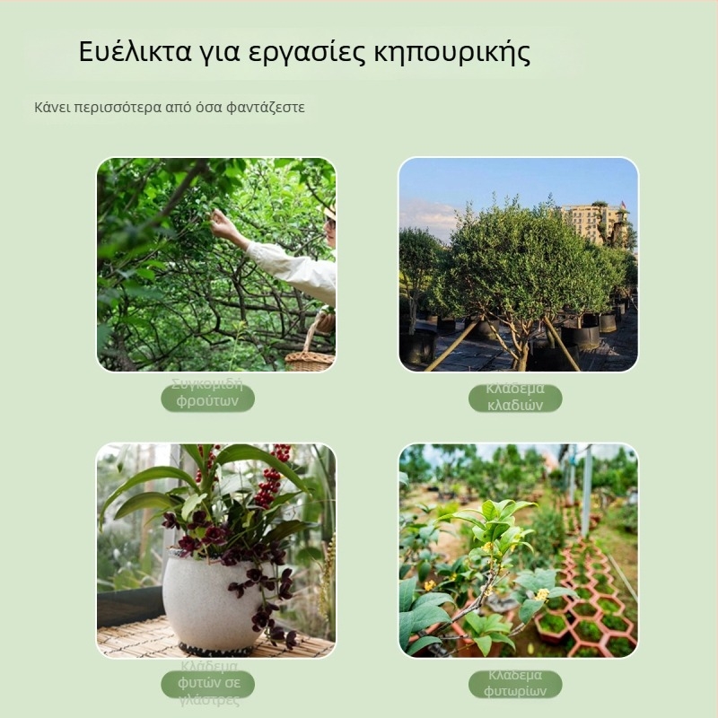 Ισχυρά ψαλίδια κλαδέματος για φρούτα δέντρων, κλάδεμα πορτοκαλιάς και αμπέλου, αραίωση λουλουδιών και φρούτων, κηπουρική, μοσχεύσεις, συγκομιδή φρούτων
