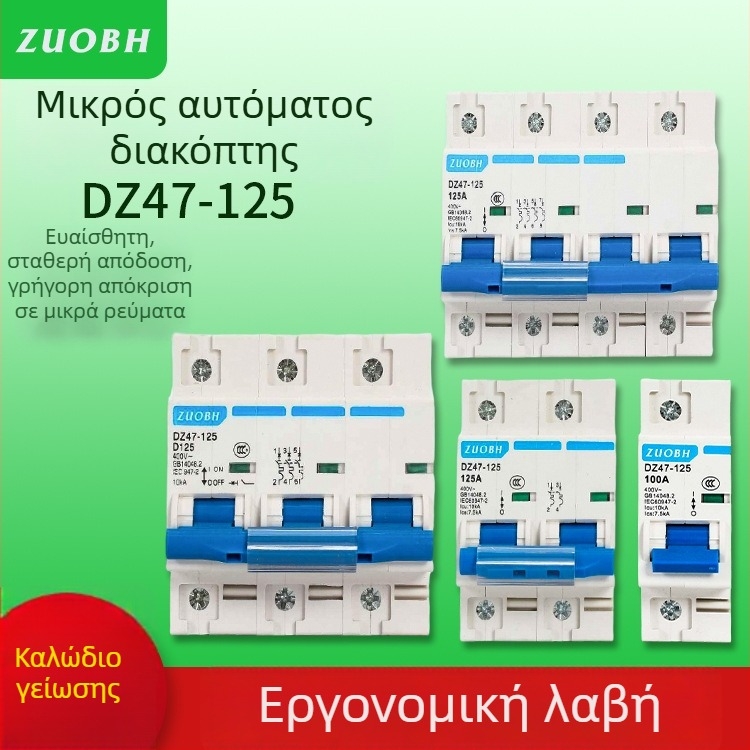 DZ47-125 Οικιακός μικροδιακόπτης κυκλώματος, 1P 2P 3P 4P, 80A 100A 125A