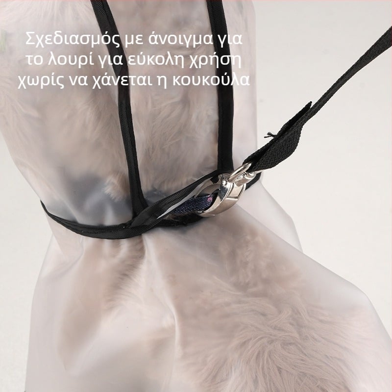 Διάφανο αδιάβροχο για μικρά και μεσαία σκυλιά