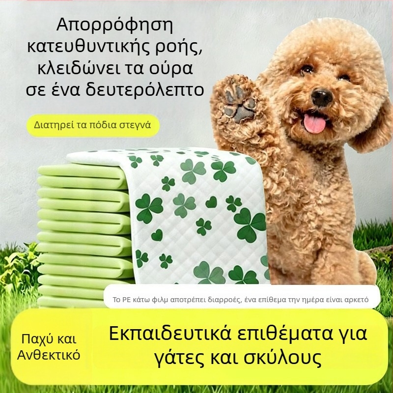 Πάνα ούρων για σκύλους, παχύτερη απορροφητική μιας χρήσης πάνα εκπαίδευσης με εκτύπωση