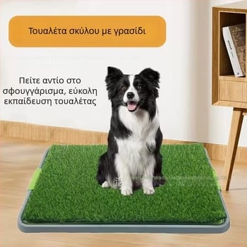 Μεγάλη τουαλέτα για σκύλους με τεχνητό χορτάρι, διαχωρισμό ούρων και κοπράνων, τουαλέτα για κατοικίδια