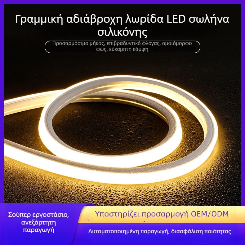 Λωρίδα LED 24V με θήκη σιλικόνης, εξωτερική αδιάβροχη, φλογοανθεκτική, ευέλικτη και εύκαμπτη, ρυθμιζόμενη ένταση φωτισμού και φωτεινή